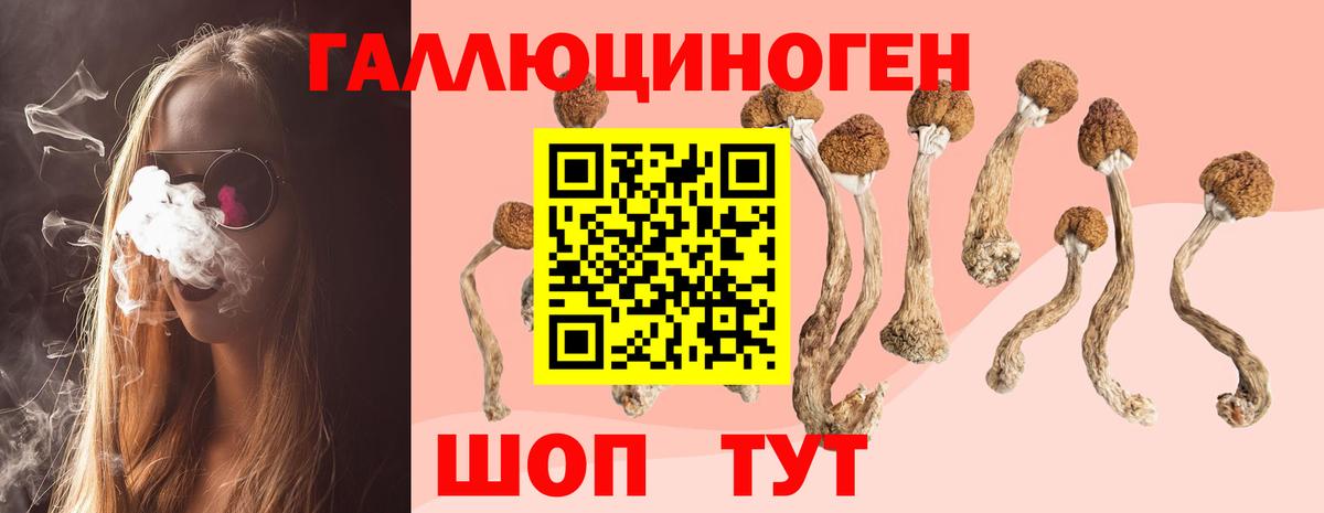 Мытищи  Псилоцибиновые грибы ЛСД  Галлюциногенные грибы мицелий  Вход с VPN 